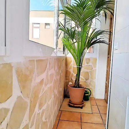 דירה Apartamento Vida Mediterranea